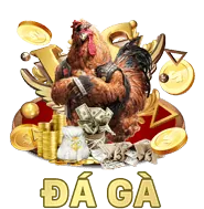 Hệ thống RNG